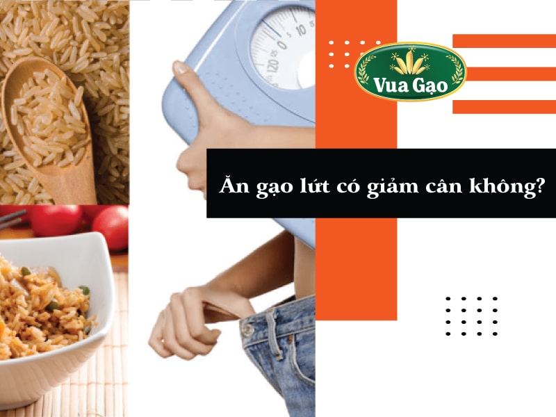 gao_lut_bao_nhieu_calo