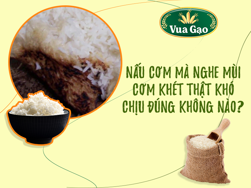 1-kg-gao-nau-duoc-bao-nhieu-kg-com