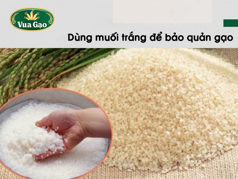 Gao_bi_mot_phai_lam_sao