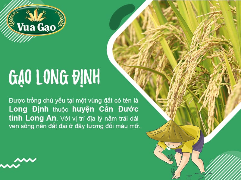 gao_long_dinh