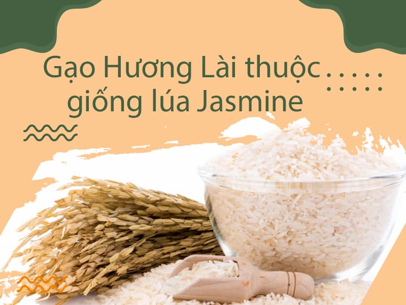 Gao_Huong_Lai
