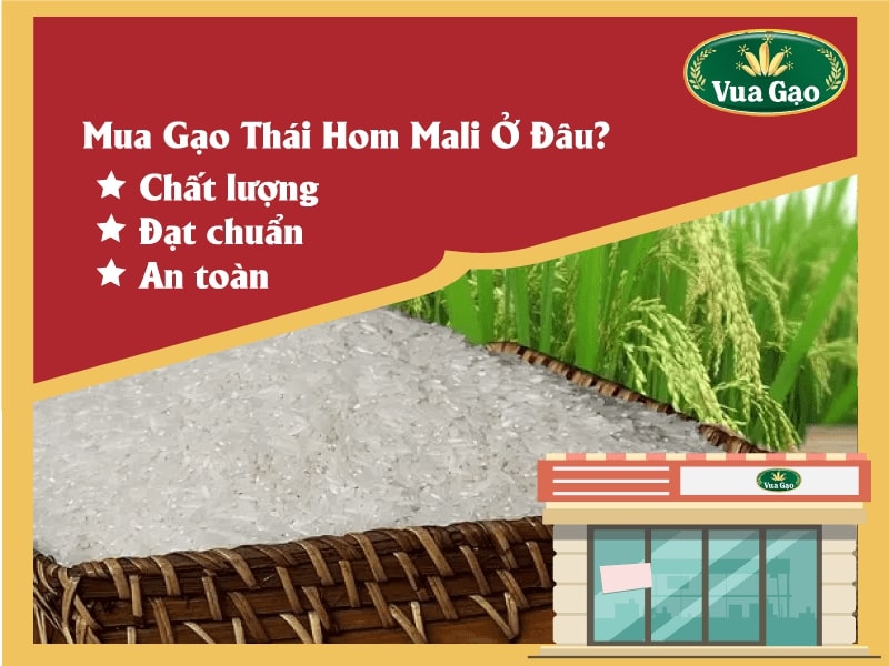 Gao_thai_hom_mali