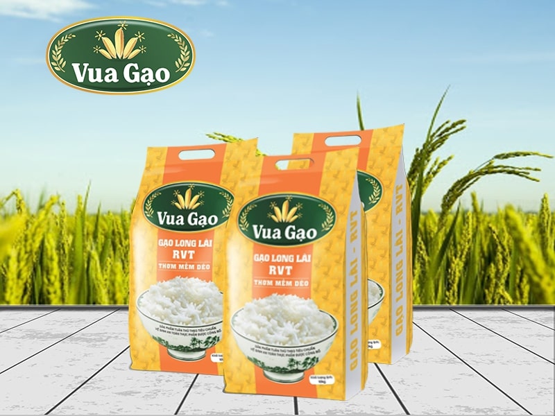 Gao_ST21_Long_Lai