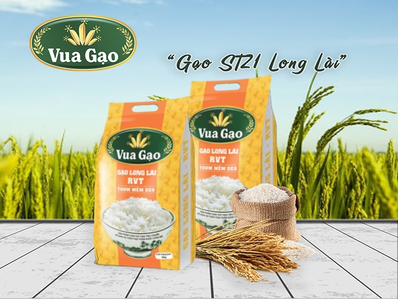 Gao_ST21_Long_Lai