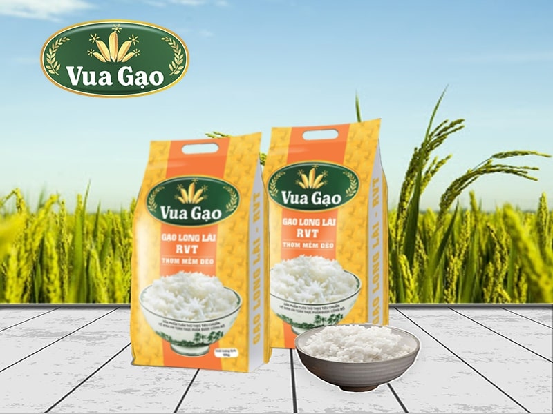 Gao_ST21_Long_Lai