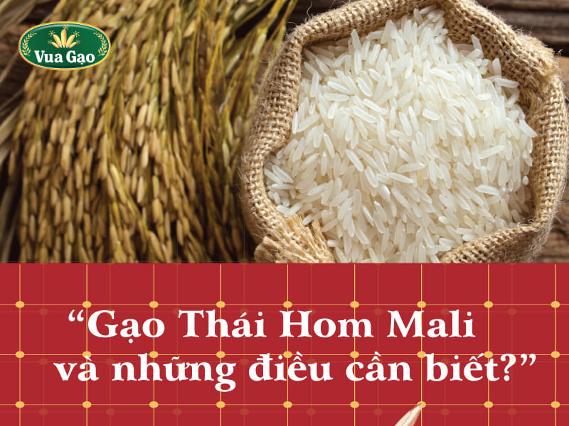 Gao_thai_hom_mali