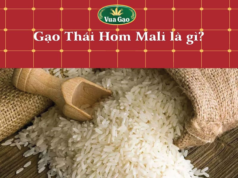 Gao_thai_hom_mali