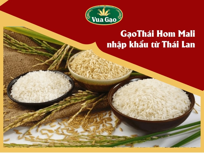 Gao_thai_hom_mali