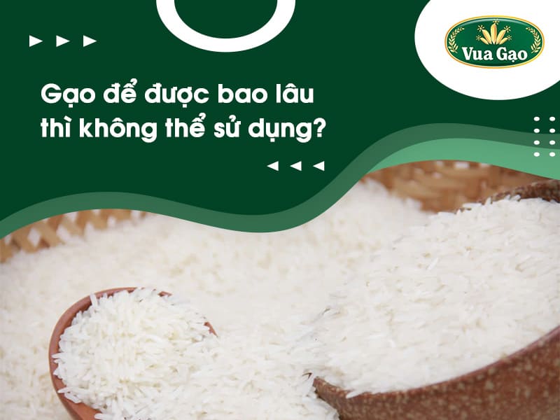 gao_de_duoc_bao_lau