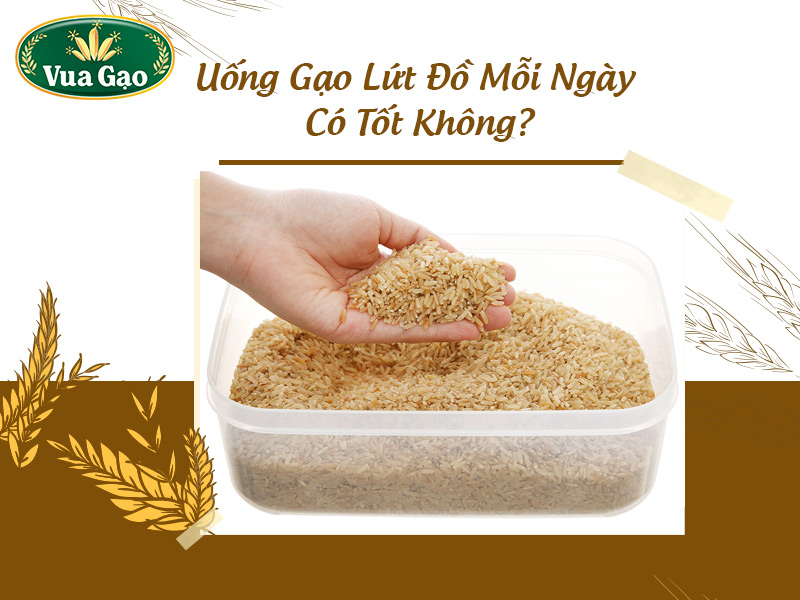 uong-nuoc-gao-lut-do-moi-ngay-co-tot-khong