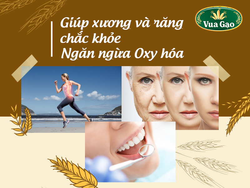 giup-xuong-va-rang-chac-khoe