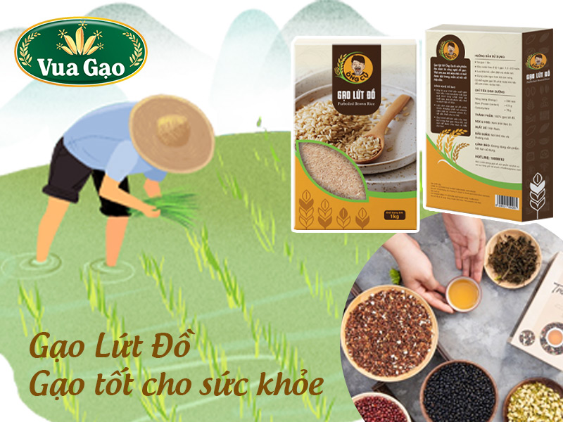 luu-y-khi-lam-cac-mon-nuoc-gao-lut-do