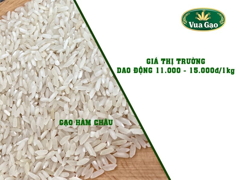 GAO_HAM_CHAU