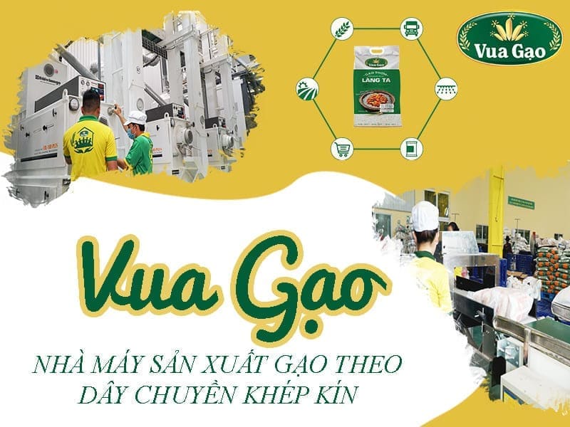 nguon-cung-cap-gao-cho-truong-hoc-gia-si