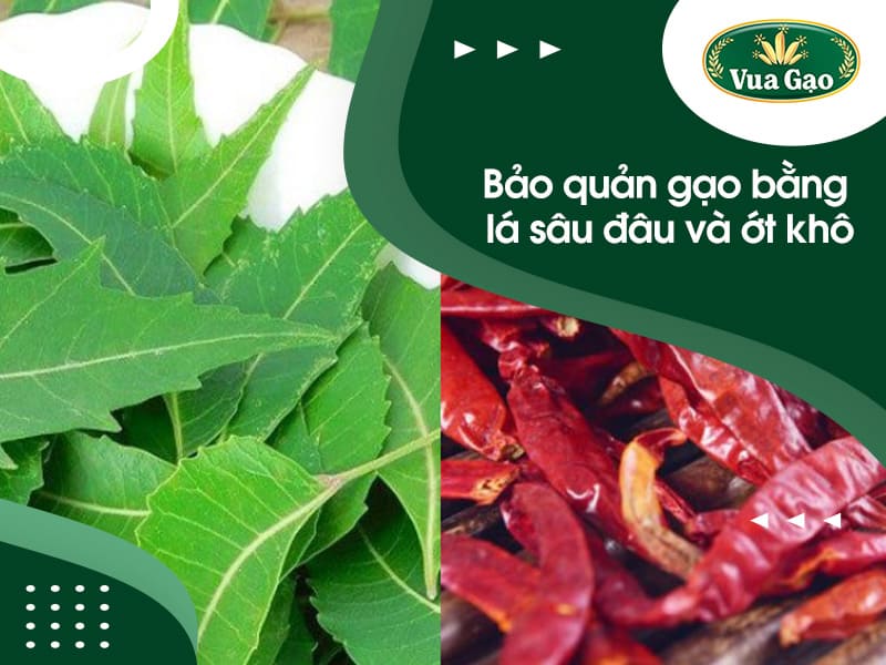 gao_de_duoc_bao_lau