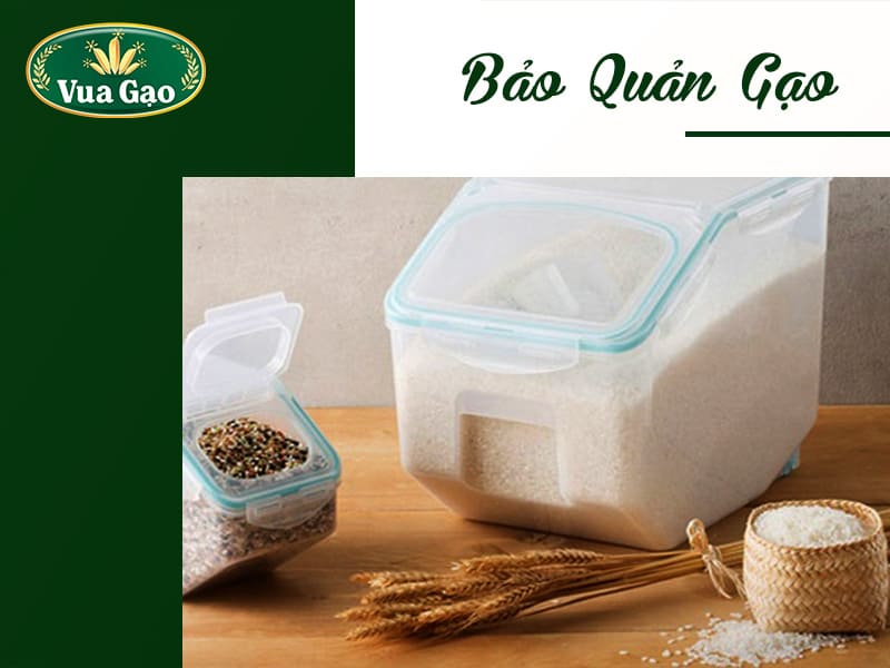 cach-bao-quan-gao-mong-chim