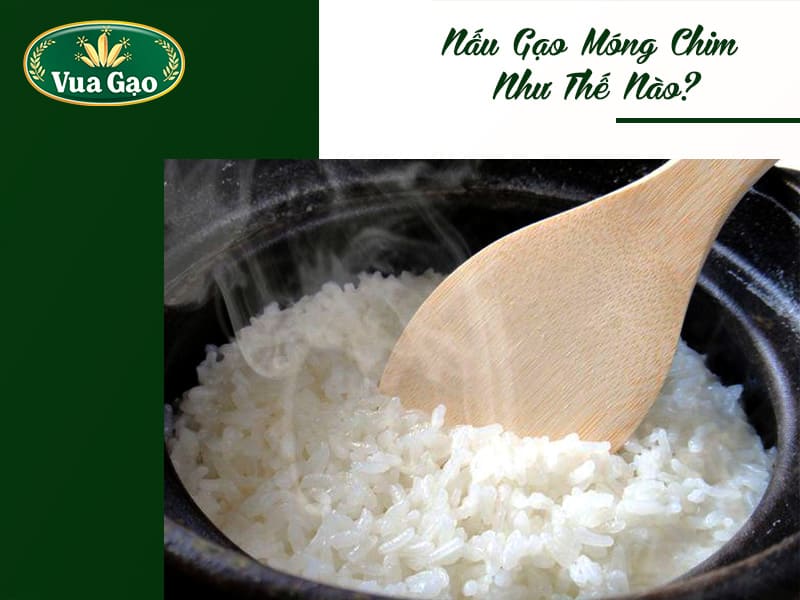 cach-nau-gao-mong-chim
