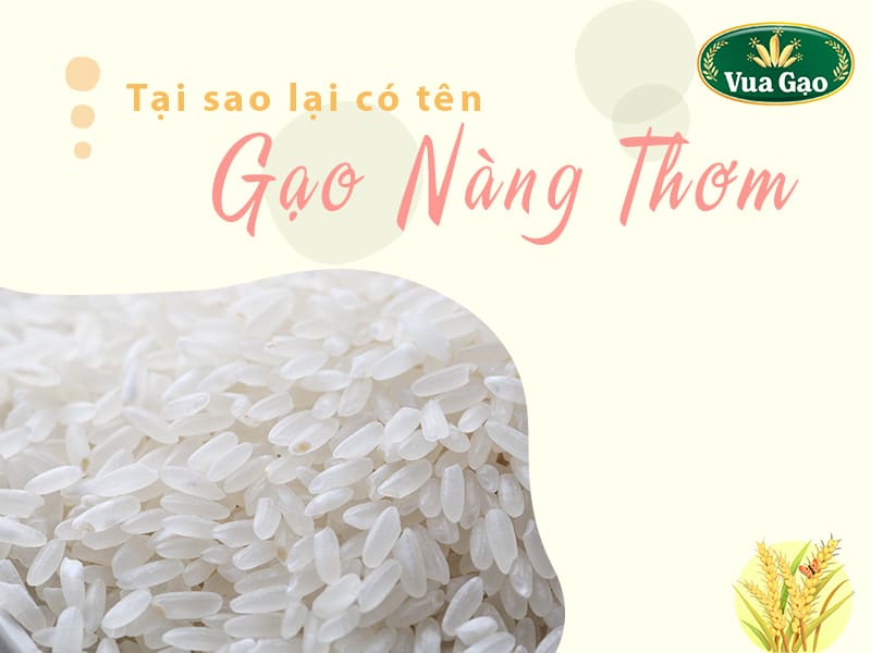 cau-chuyen-cai-ten-gao-nang-thom