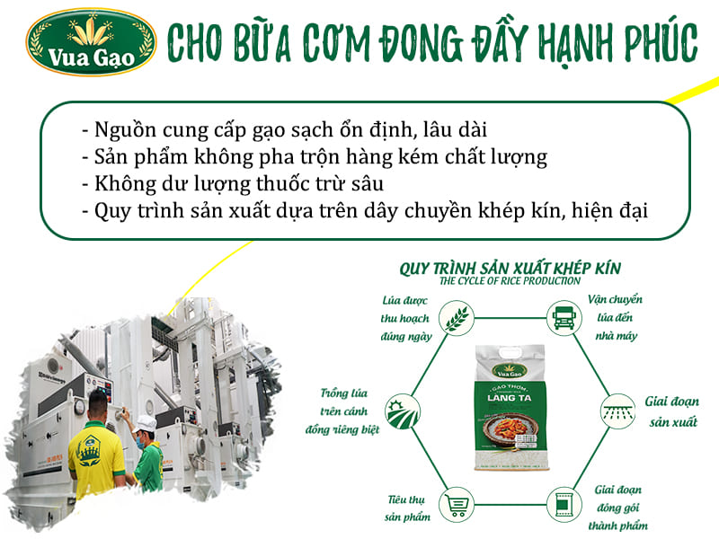 nguon-cung-cap-gao-gia-si-lam-banh-trang