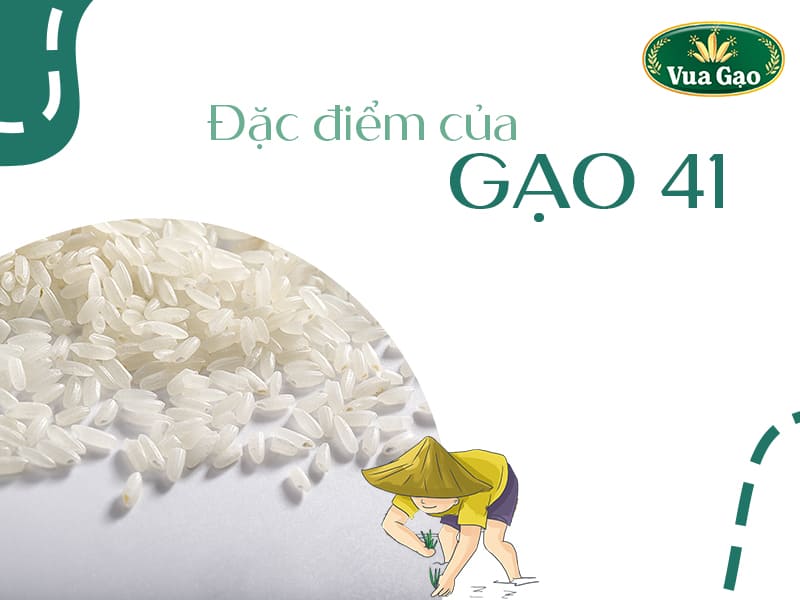 dac-diem-gao-41