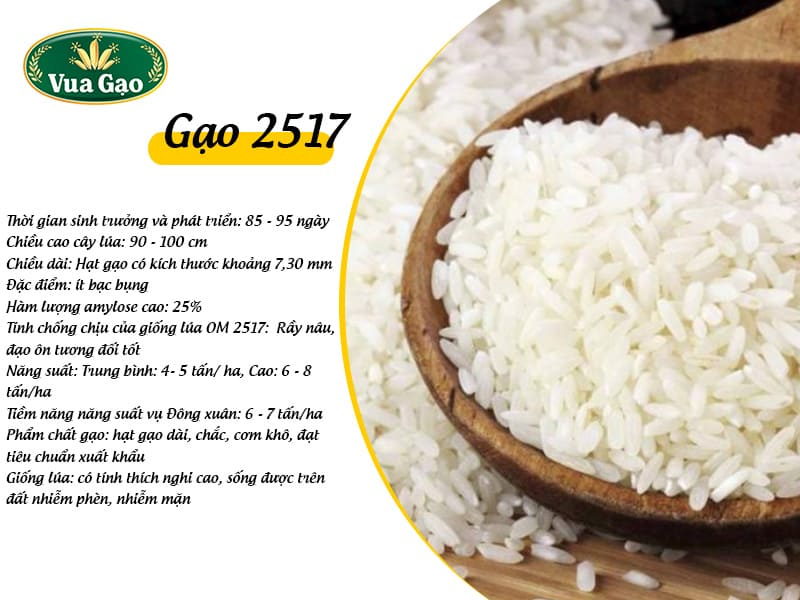 dac-tinh-gao-2517