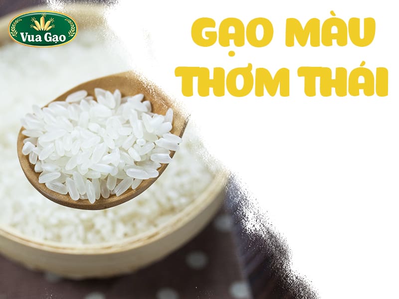 dac-tinh-gao-tam-thai-do