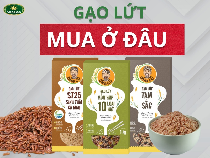 mua gạo lứt ở đâu