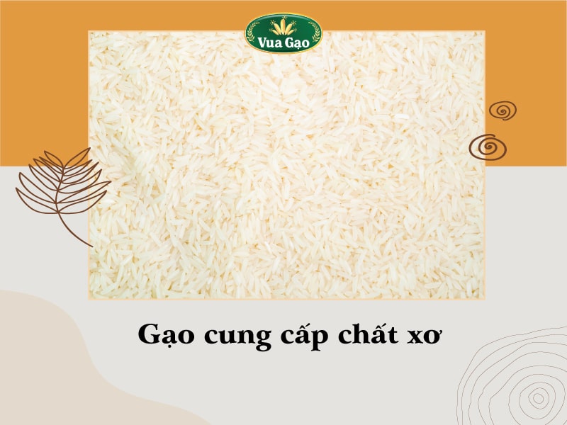 gao_cung_cao_chat_gi