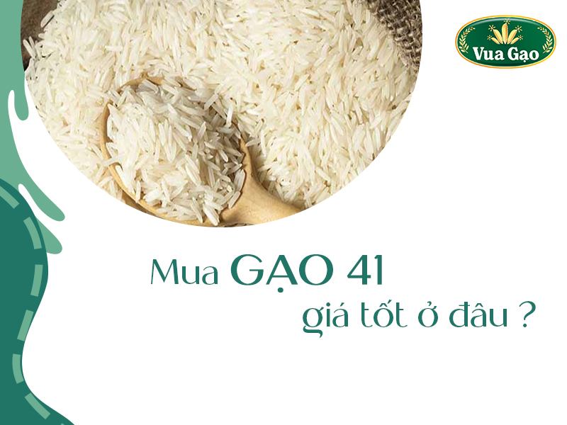 gao_41