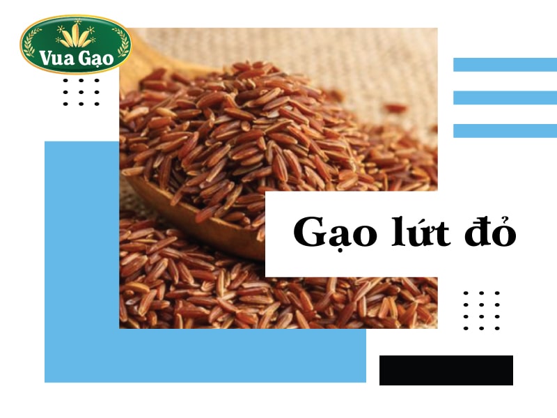 gao_lut_bao_nhieu_calo