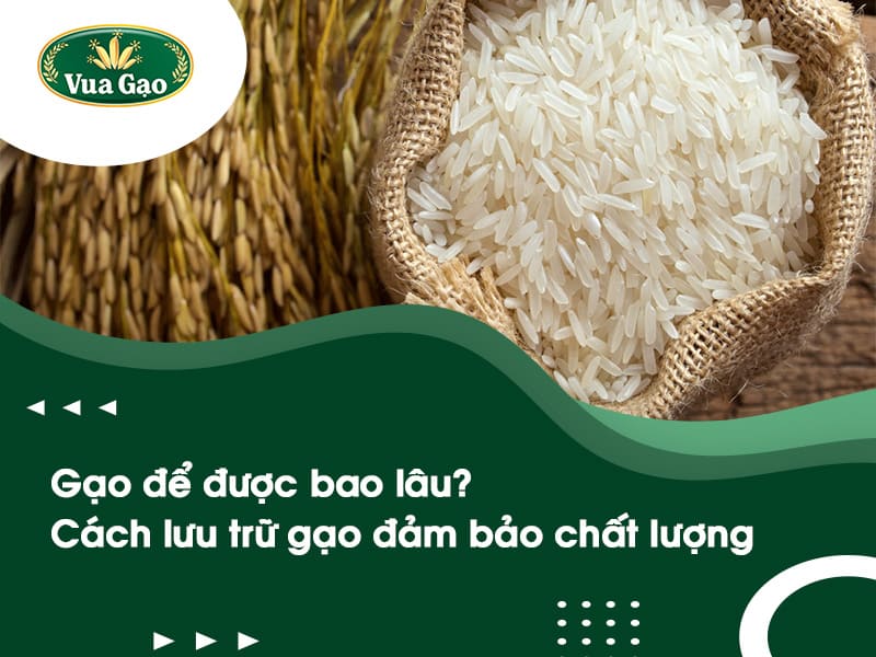 gao_de_duoc_bao_lau