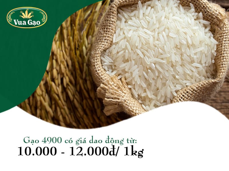 gao-4900-co-gia-bao-nhieu
