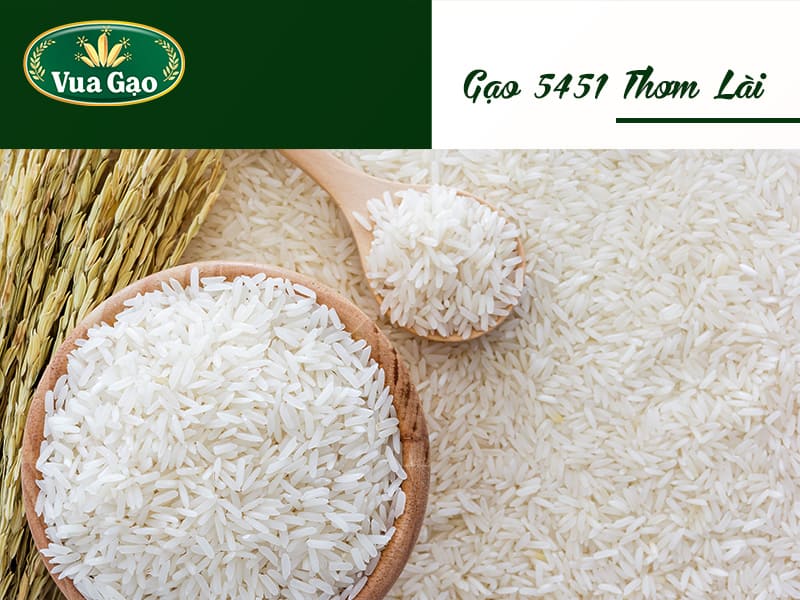 gao-5451-thom-lai