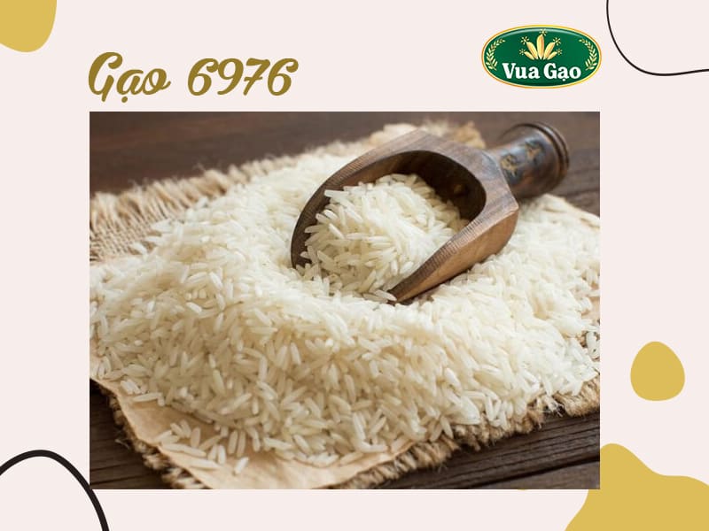 gao-6976-la-gao-gi