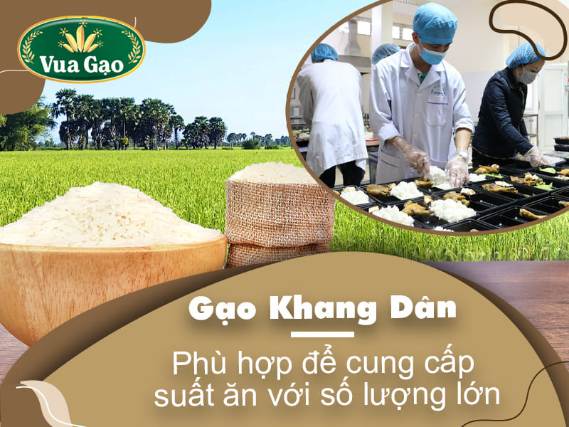 gao-cho-suat-an-cong-nghiep