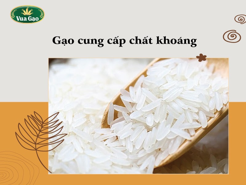 gao_cung_cao_chat_gi