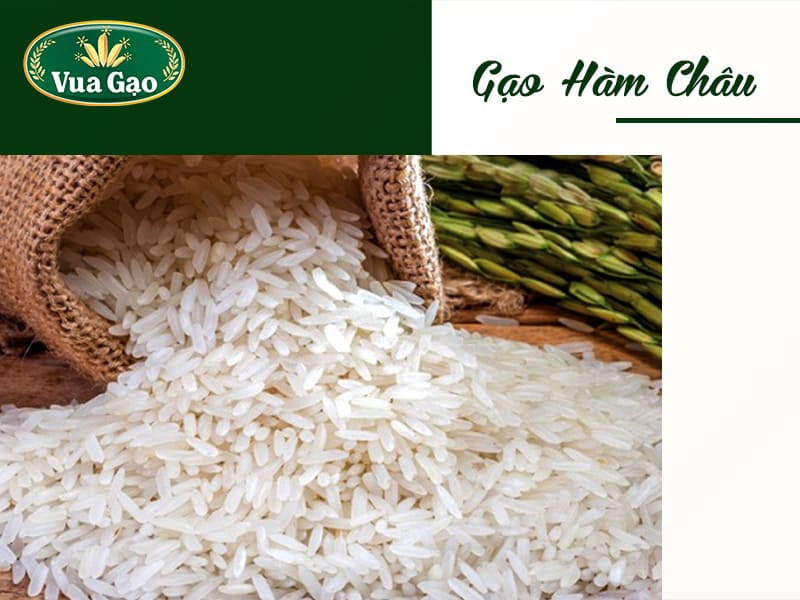 gao-ham-chau