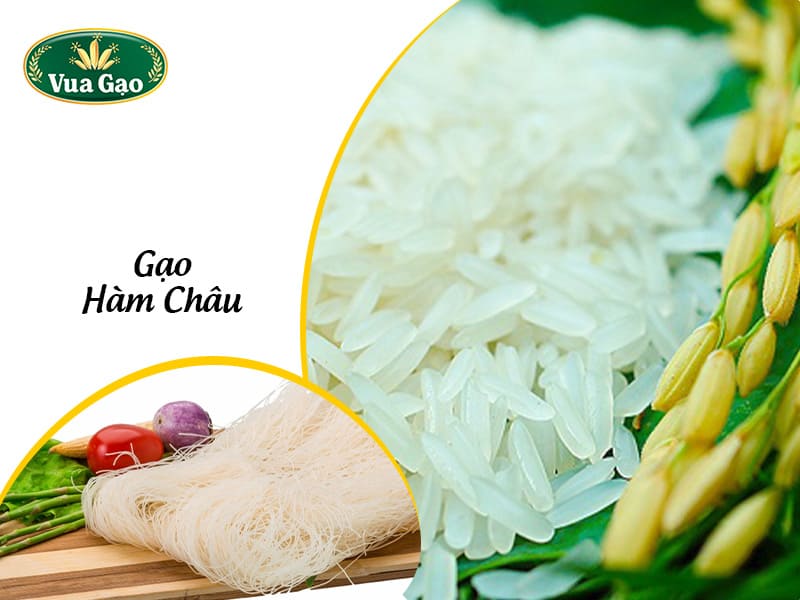 gao-ham-chau