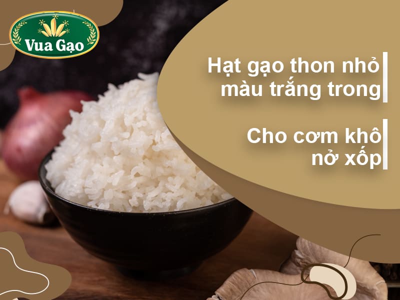 gao-khang-dan-lam-bun