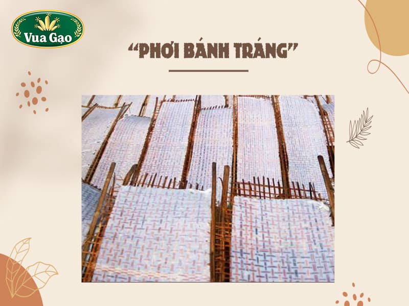 gao-lam-banh-trang-gia-si
