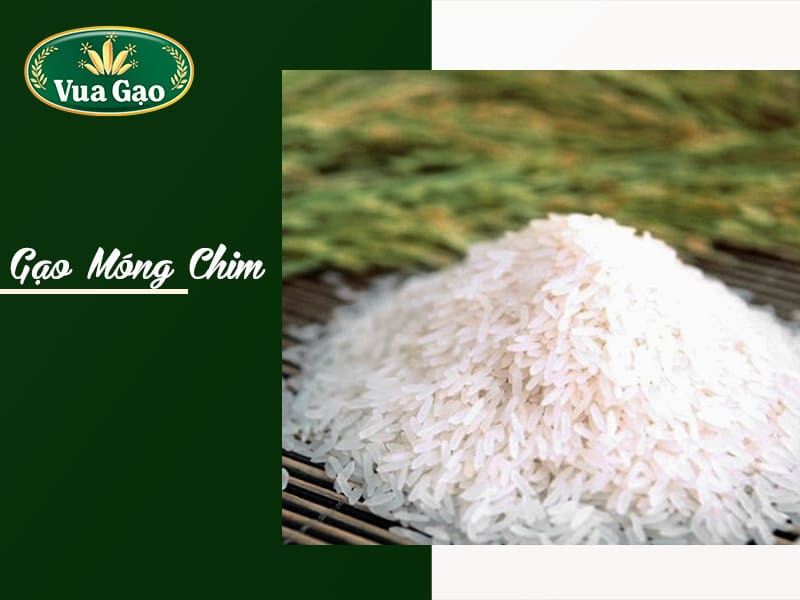 gao-mong-chim.jpg