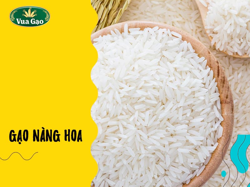 gao-nang-hoa-la-loai-gao-gi