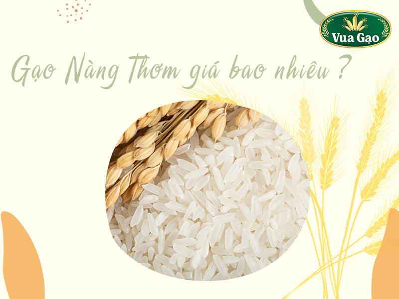gao-nang-thom-cho-dao