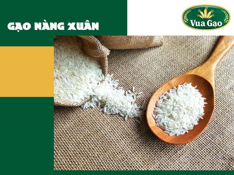 gao-nang-xuan