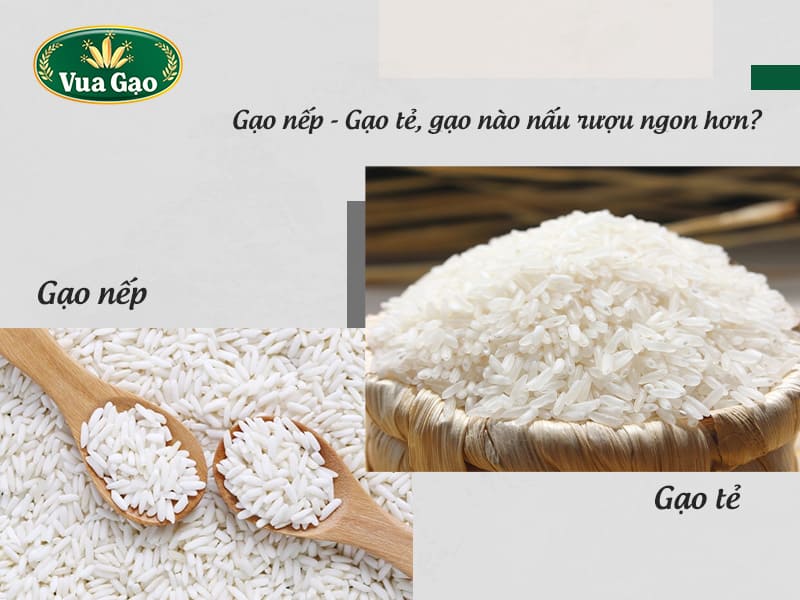 gao-nep-hay-gao-te-nau-ruou-ngon-hon