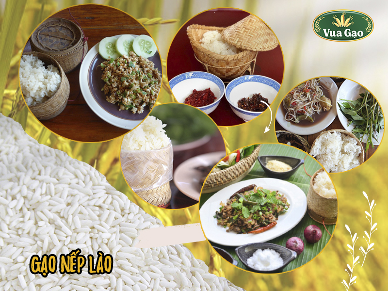 gao-nep-lao-la-gi