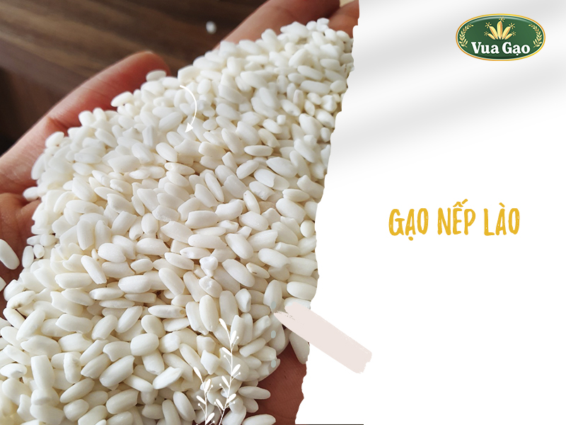 gao-nep-lao