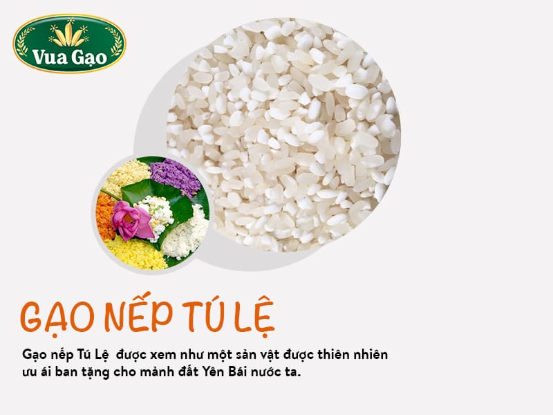 gao-nep-nuong-tu-le