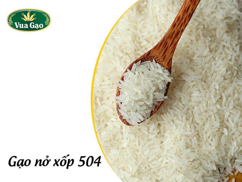 gao-no-xop-504