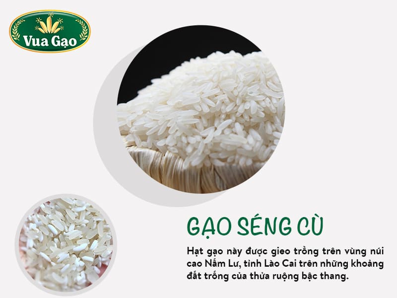 gao-seng-cu